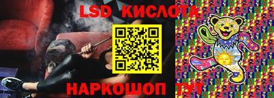 прущие грибы Можайск